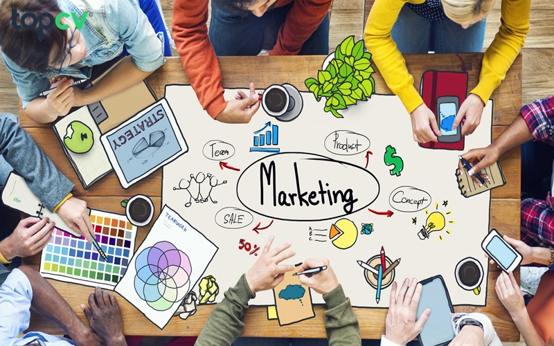 HÌnh ảnh tuyển dụng marketing lavitec